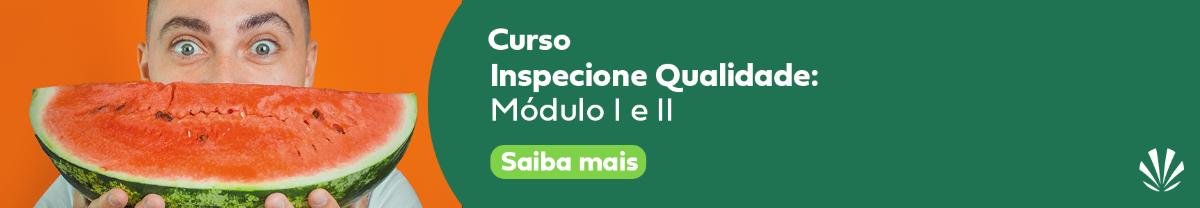 Curso Inspecione Qualidade