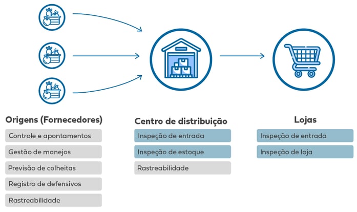 Gráfico2-P