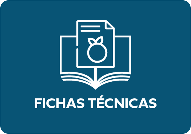 ficha-técnica