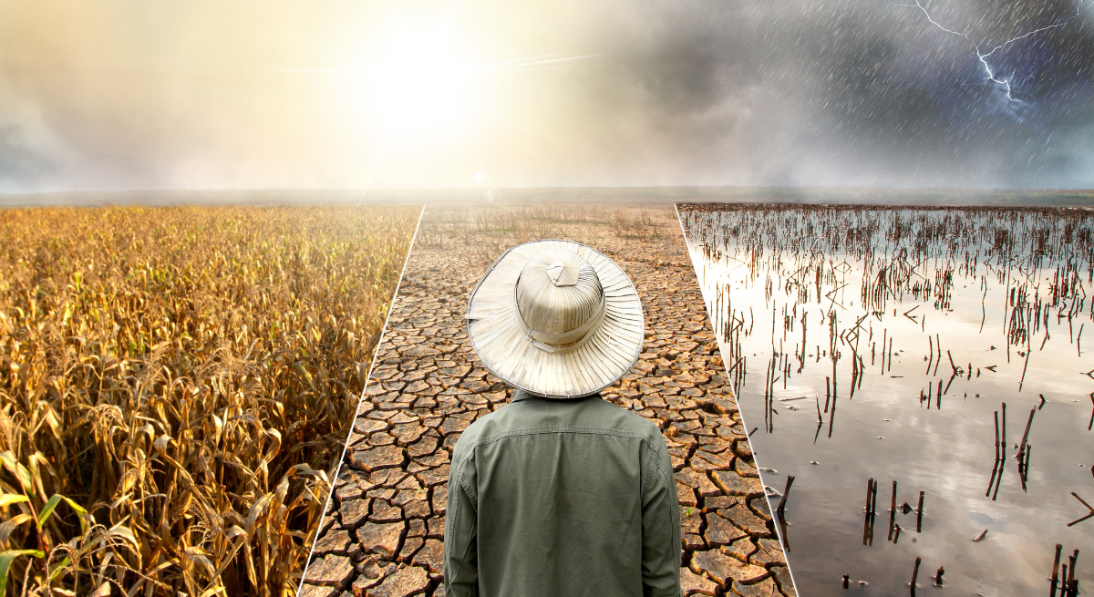 Mudanças Climáticas e o setor de FLV