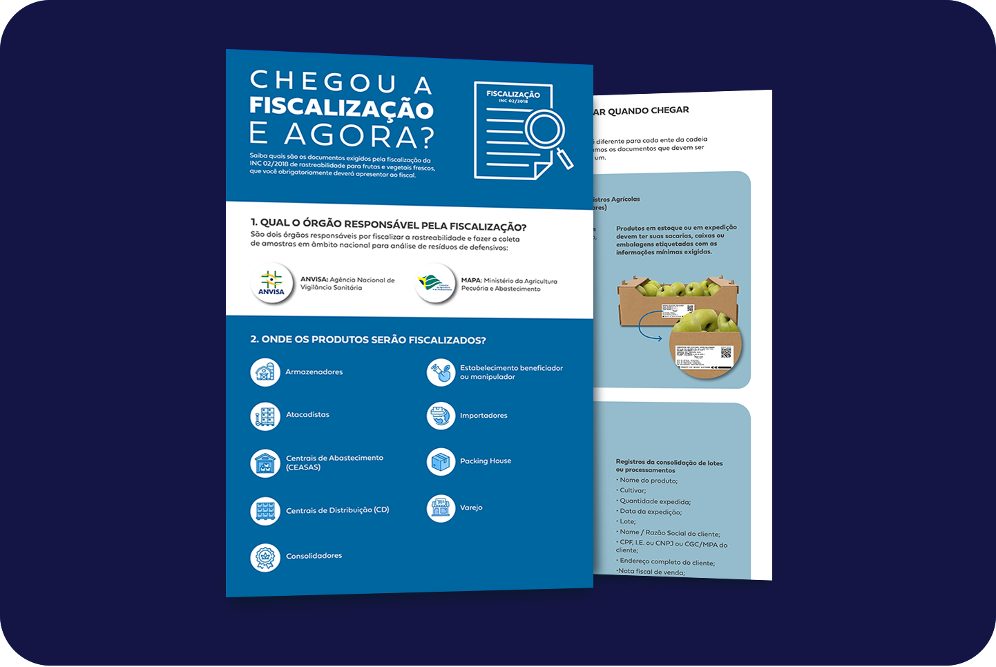 Miniatura Infografico Chegou a fiscalização, e agora_