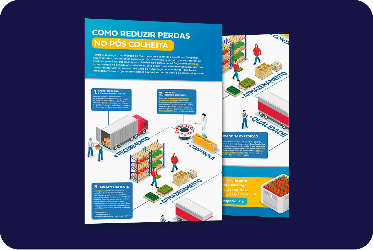 Miniatura Infografico Como reduzir perdas pós-colheita